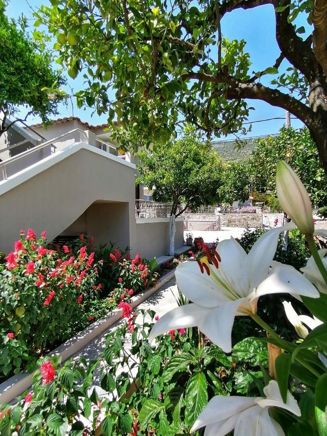 Villa Nikolaou Parga Exterior foto